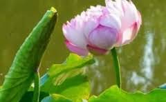 农行自动取款机转账限额是多少