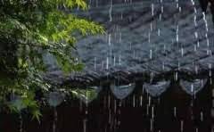 樱花之都是什么