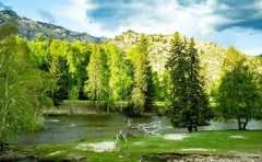 地砖缝上有很多填缝剂怎么清除