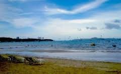 哈尔滨到阿城坐几路公交车