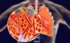 6平方的电线家用可以吗