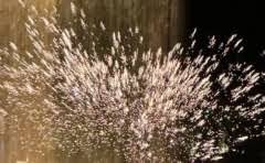 优品优选是哪个平台的