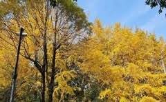 壶口瀑布位于哪一个地方