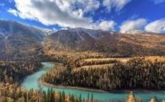 pvt材料什么意思