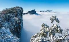 九仙牡丹有几个颜色