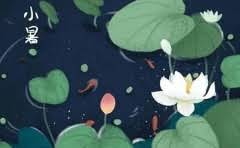 什么是实时汇款