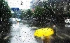 生日送12朵花代表什么意思