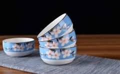 加拿大小学有足球队吗