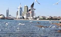 长安有没有地铁到深圳