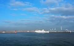 华为智能家居app叫什么