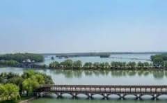 苏州流浪狗收养的地方